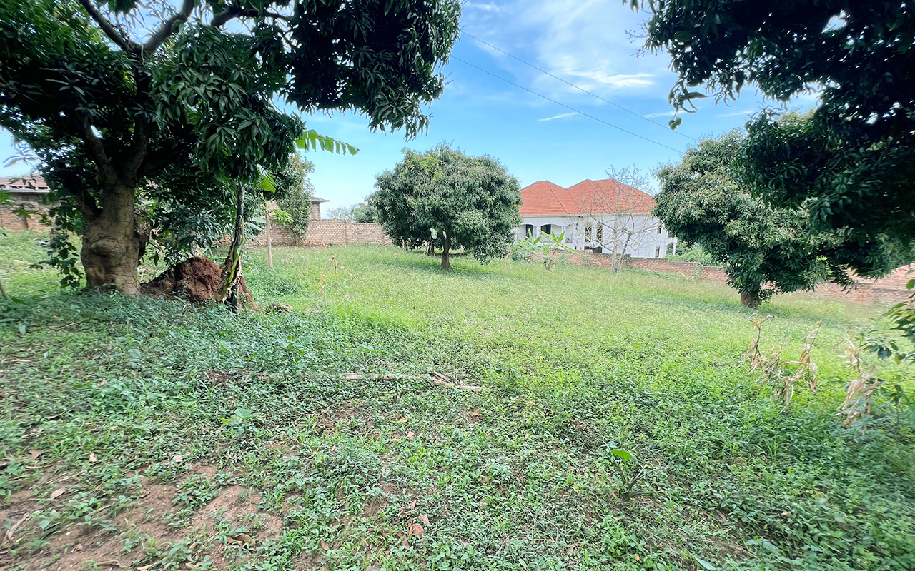 WhatsApp Image 2025-09-23 at 10.31.03.jpeg